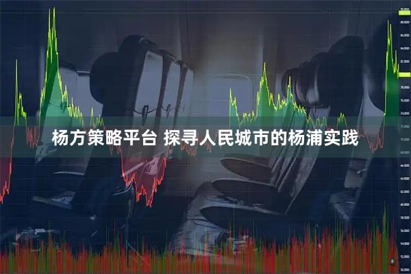 杨方策略平台 探寻人民城市的杨浦实践
