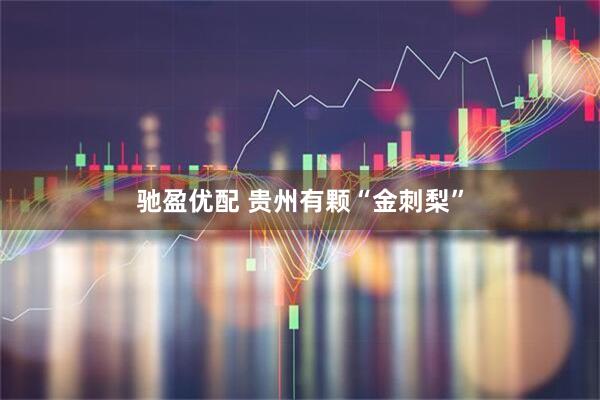 驰盈优配 贵州有颗“金刺梨”