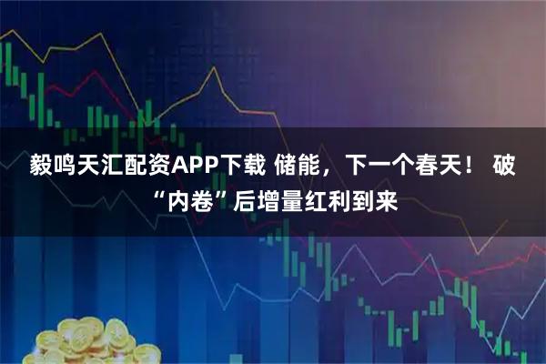 毅鸣天汇配资APP下载 储能，下一个春天！ 破“内卷”后增量红利到来