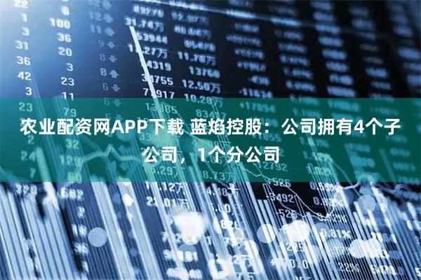 农业配资网APP下载 蓝焰控股：公司拥有4个子公司，1个分公司