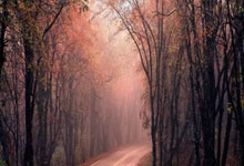 新乡股票配资:股票配资哪个平台是正规的-大幅加仓 连续14周净买入！资金涌向这些股 芯片龙头成交居首